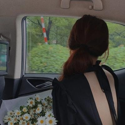 花落莺啼春